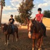 Trinity Therapeutic Riding Center