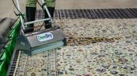 Area Rug Cleaning