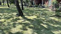 Residential Landscaping