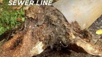 Sewer lining