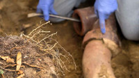 Sewer Drain Line Services