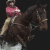 The Rocking S Ranch