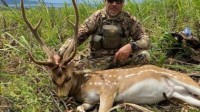 Axis Deer Hunts in Maui, Hawaii