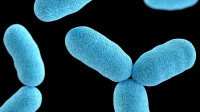 Chemical Hygienic AC Cleaning
