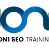 1On1 SEO Training