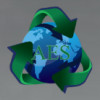 Affordable Environmental Services