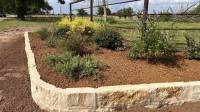 Seasonal Cleanups & Flowerbeds