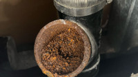 Drain Cleaning