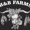 M&B Family Farm's