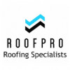 RoofPro Roofing