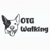 On The Go Walking
