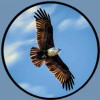 RMJ Environomics