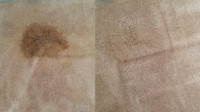 Dry Carpet Cleaning