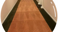 Commercial Carpet Cleaning