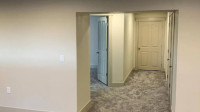 Basement Finishing