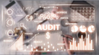 IRS Tax Audit Defense