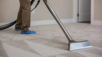 Carpet Cleaning