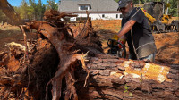 Tree Removal & Storm Emergency