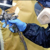 European Auto Body