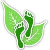 Green Steps Carpet Care