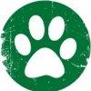 Let's Walk It Off Pet Services