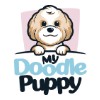 My Doodle Puppy