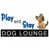 Play & Stay Dog Lounge