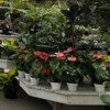 Pensacola Seed & Garden North