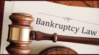 Bankruptcy Lawyer