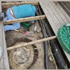 Dave's Septic Services Maintenance & Monitoring