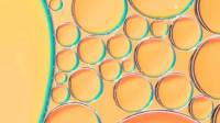 Egg Donation