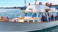 Tours & Cruises