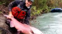 Alaska Salmon Fishing The Klutina River